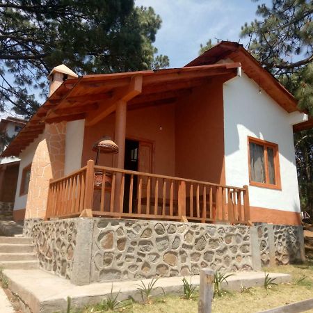 Villa Cabanas Del Bosque à Mazamitla Extérieur photo